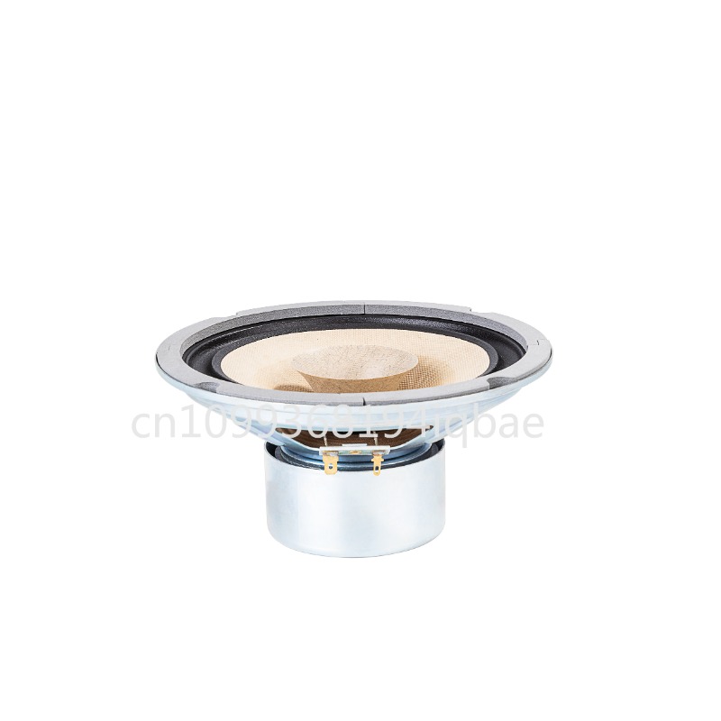 Para głośników Lii Song 8-calo – Diy Speaker recenzja i cena