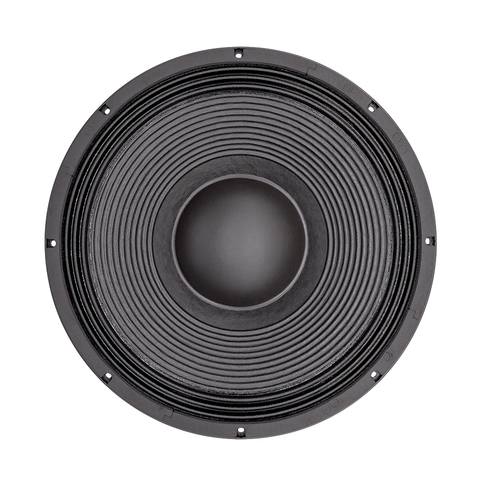 Profesjonalny system audio 21' – Subwoofer recenzja i cena